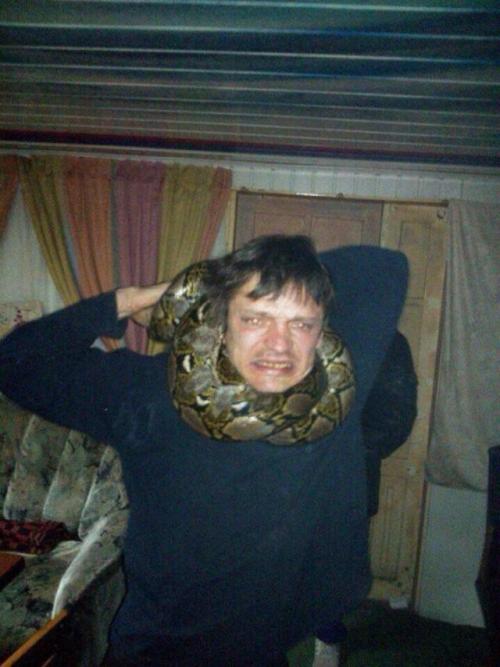 каменный шмель