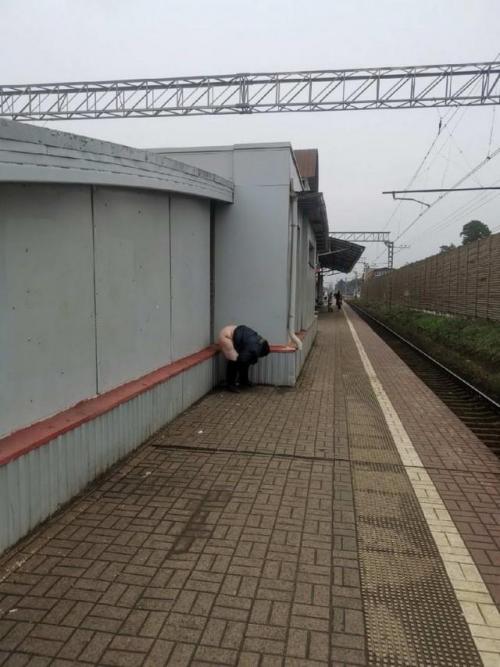 жизненный губошлеп