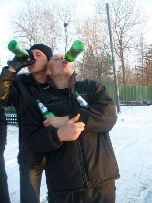 неукротимый хряк